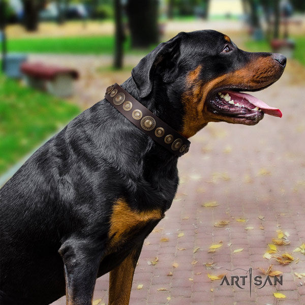 Rottweiler top quality collar with incredible decorations for your four-legged friend