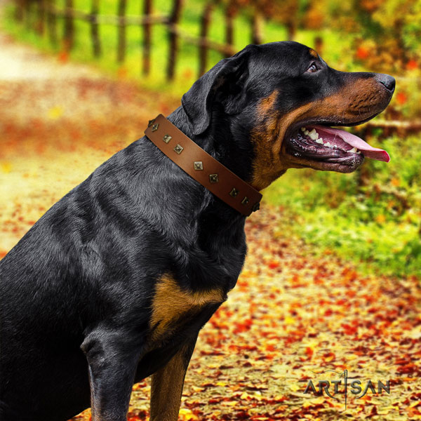 Rottweiler easy wearing collar with stunning decorations for your canine
