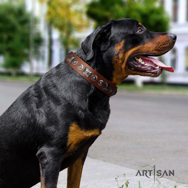 Rottweiler easy wearing collar with exquisite studs for your four-legged friend