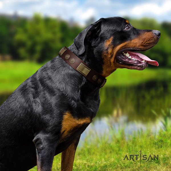 Rottweiler handcrafted collar with unusual decorations for your four-legged friend