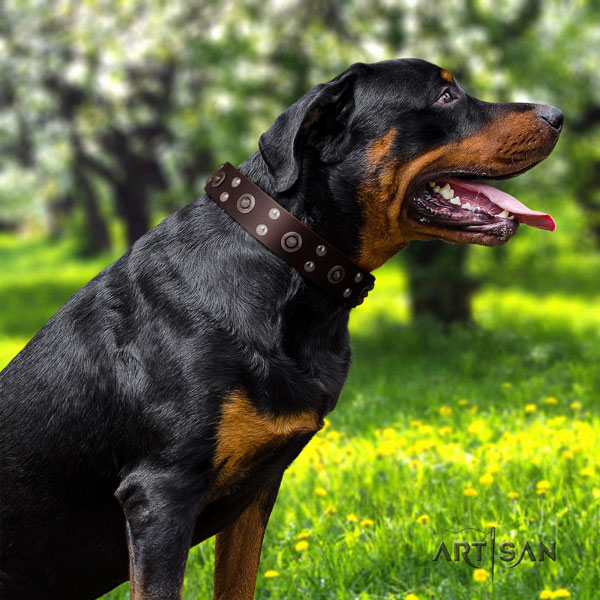 Rottweiler best quality collar with stunning embellishments for your doggie