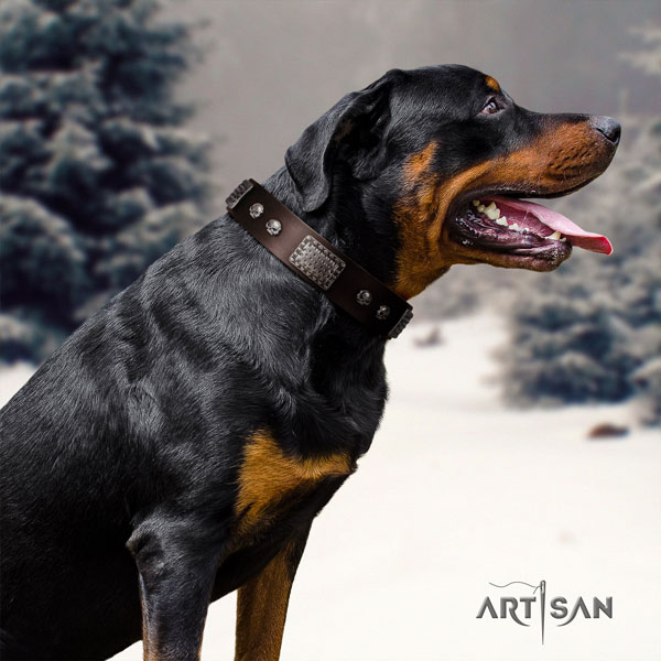 Rottweiler handcrafted collar with stylish adornments for your canine