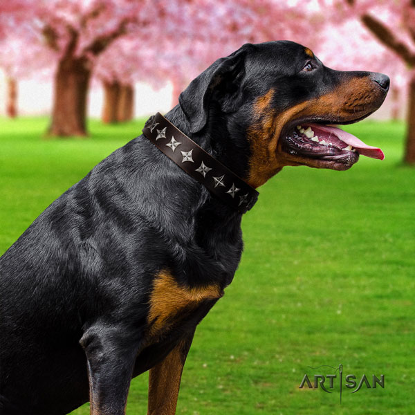 Rottweiler adjustable collar with top notch adornments for your pet