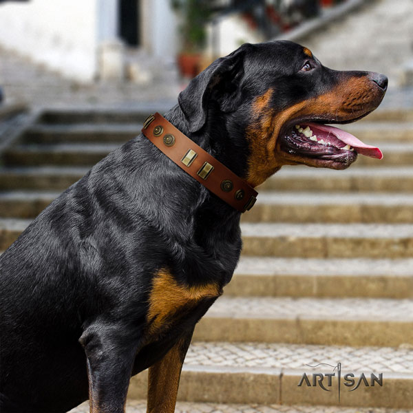 Rottweiler top quality collar with unique decorations for your pet
