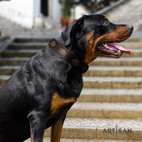 Rottweiler easy to adjust collar with unusual studs for your doggie