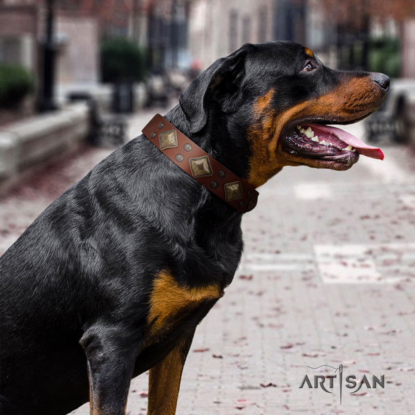 Rottweiler adjustable collar with significant studs for your dog
