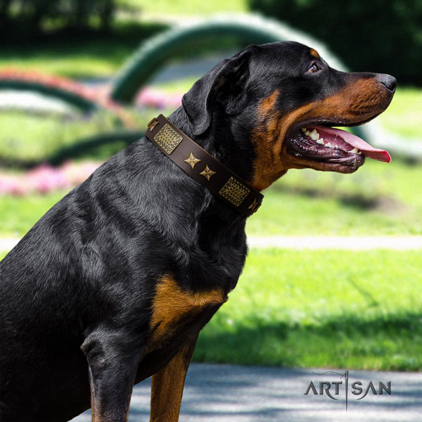 Rottweiler handmade collar with stylish adornments for your four-legged friend