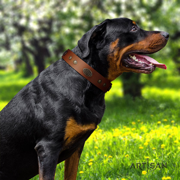 Rottweiler handcrafted collar with fashionable decorations for your dog