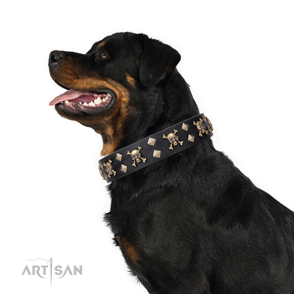Rottweiler comfortable full grain leather dog collar for comfy wearing