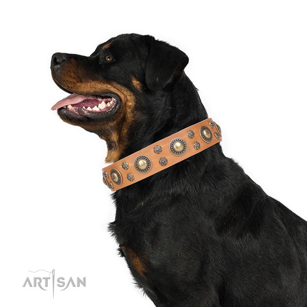 Rottweiler convenient full grain genuine leather dog collar for easy wearing