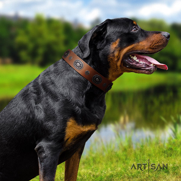 Rottweiler handcrafted collar with top notch adornments for your four-legged friend