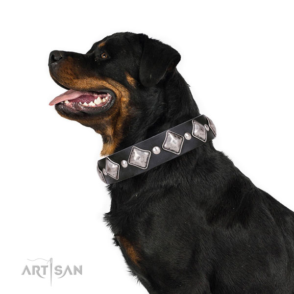 Rottweiler handcrafted leather dog collar for everyday walking