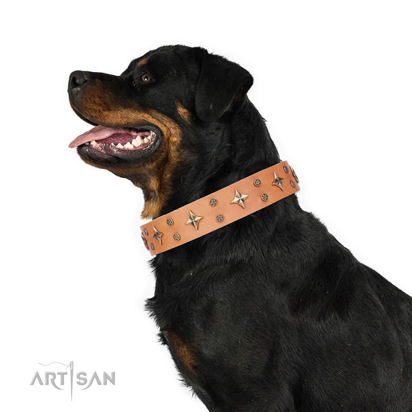 Rottweiler unique full grain natural leather dog collar for everyday walking