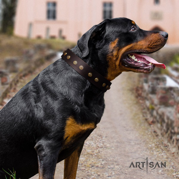 Rottweiler perfect fit collar with top notch decorations for your four-legged friend
