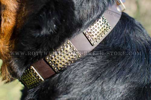 Stylish Leather Dog Collar for Rottweilers with Plates 