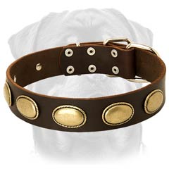 Best-fitted leather dog collar