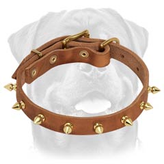 Custom made leather dog collar