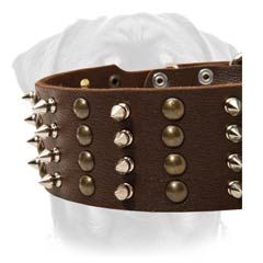 Sophisticated leather dog collar for strong dogs