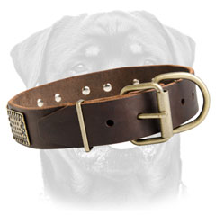 Rottweiler collar with strong buckle