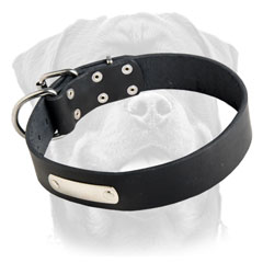Exclusive leather dog collar