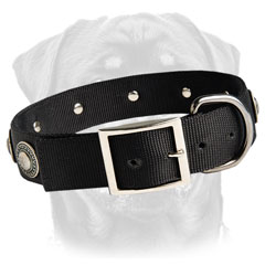 Customized dog collar for big dog breeds