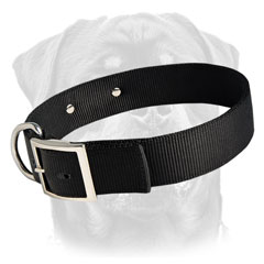 Heavy-duty nylon dog collar