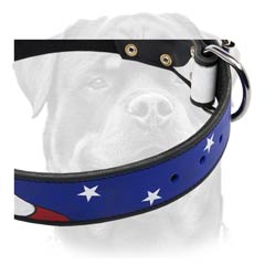 Superior durable leather dog collar