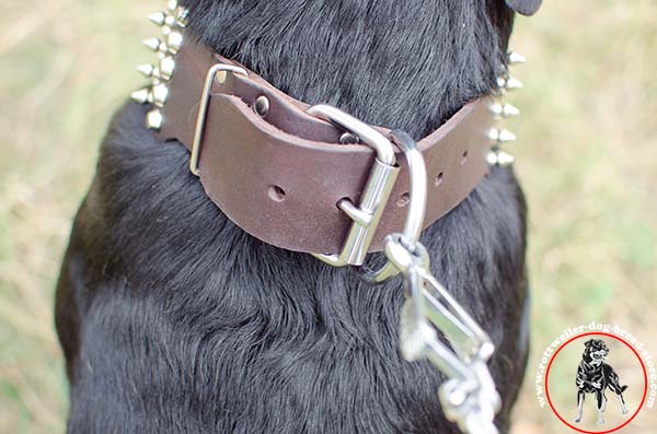 Rottweiler leather collar with quick release buckle