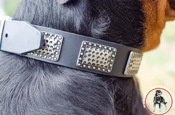  Adjustable Rottweiler leather collar