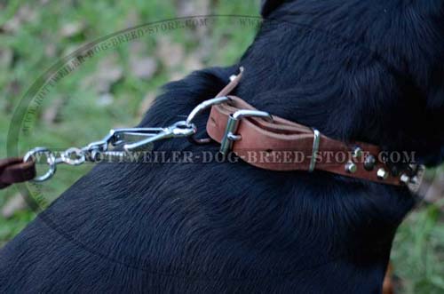 Beautiful Leather Dog Collar For Rottweilers