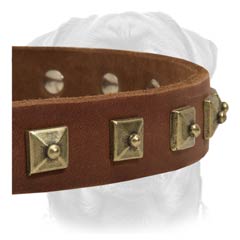 Exclusive leather buckle dog collar