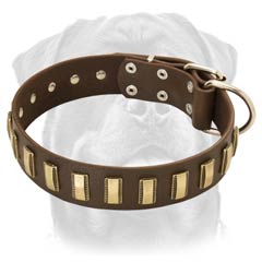 Practical leather dog collar