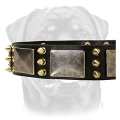 Adjustable leather dog collar