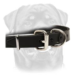 Demandable leather dog collar
