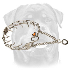 Strong Rottweiler Dog Collar for Better Behavior