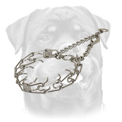 Rottweiler Collar with swivel and 2 O-rings