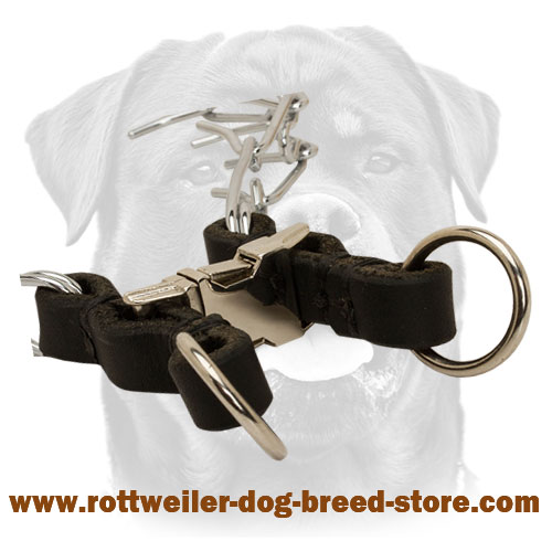 Rounded Leather Dog Collar Quick Release Buckle Rounded Leather Dog Collar Quick Release Buckle