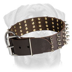 Rottweiler collar of leather for walking