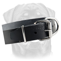 Superior Rottweiler collar for Identification