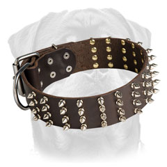 Leather collar for Rottweiler decorated     with spikes