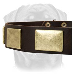 Demandable leather dog collar for Rottweilers
