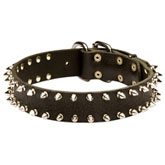 Rottweiler Leather Spiked Dog Collar-2 Rows of Spikes