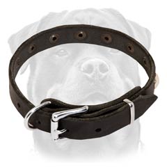 Dependable leather dog collar easy-to-adjust properly fitting