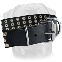 Non-corrodible buckle and D-ring for leash and tags