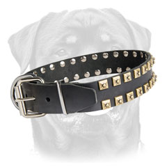 Walking leather dog collar with corrosion resistant fittings