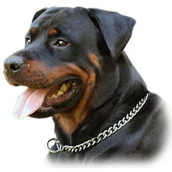 prong  dog collar,pinch collar,curogan collars,chain dog collars,dog training collars