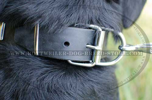 Built-in D-Ring for Leash Fastening