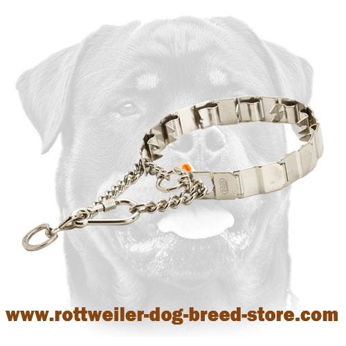 Prong Neck Tech Rottweiler Collar Metal with 2 O-Rings for Lead