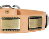 Designer Dog Collar for Rottweiler-Leather Custom Collar Designer Dog Collar for Rottweiler-Leather Custom Collar