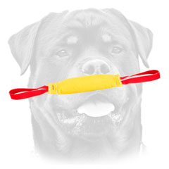 Durable     Training Bite Tug for Rotty of French Linen